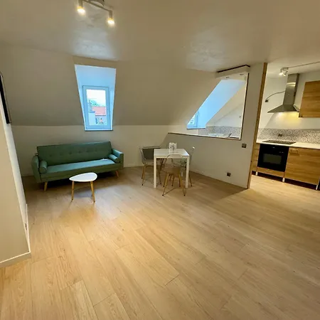 Appartement Sejour Lumineux Et Confortable Logement Proche Centre Lunéville